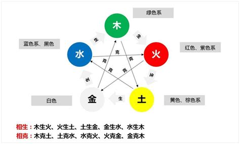 五行属金的植物|五行属金的动物或植物